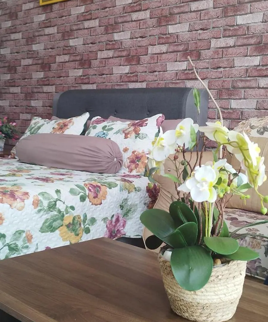 Sofiasuite16, Plaza Azalea, Shah Alam 0*,  Malaysia